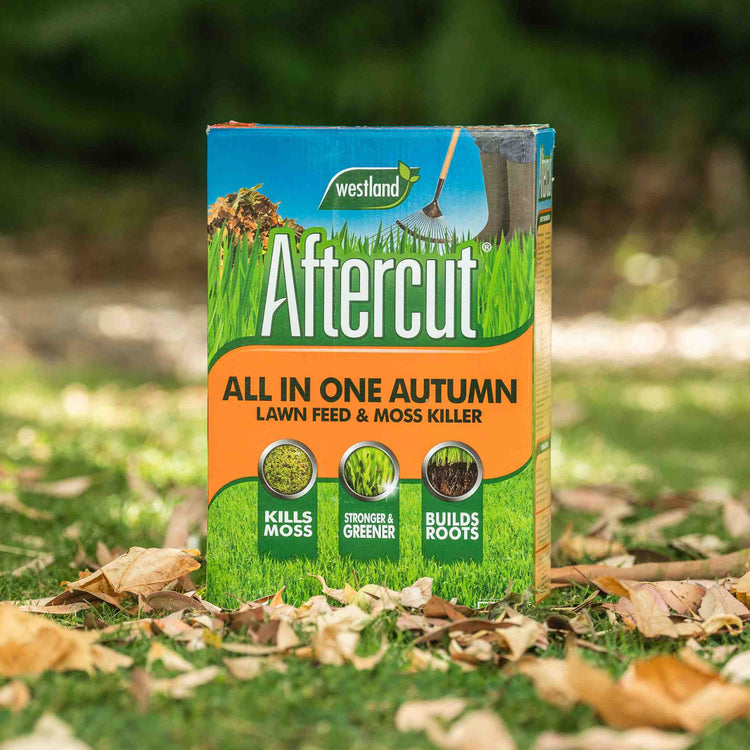 Aftercut All in One Autumn Lawn Feed and Moss Killer