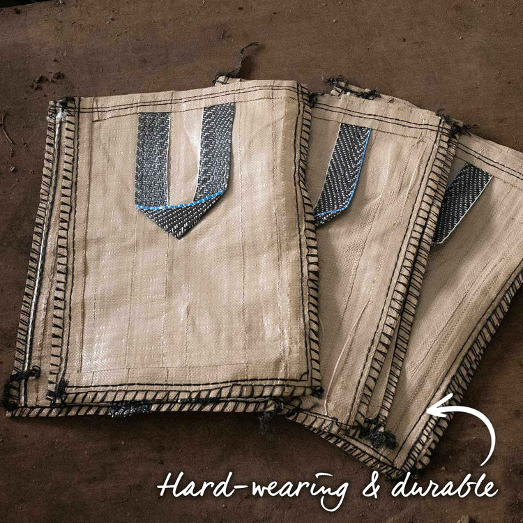 Seed Potato 'Maris Peer' Grow Kit