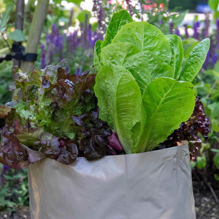 Potato Planter Bags