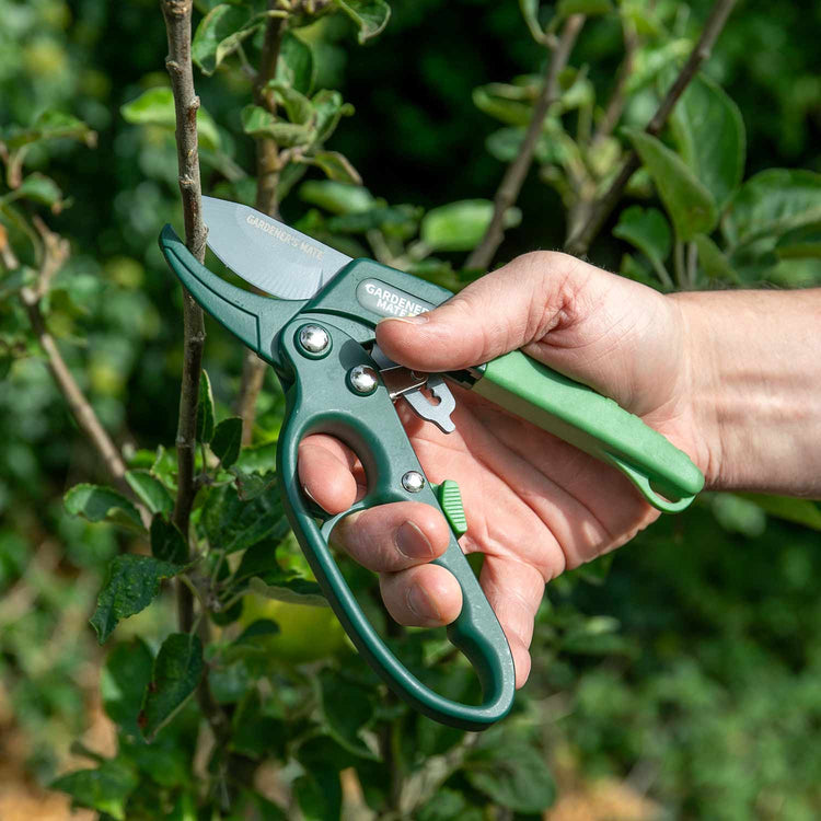 Gardeners Mate Ratchet Secateurs