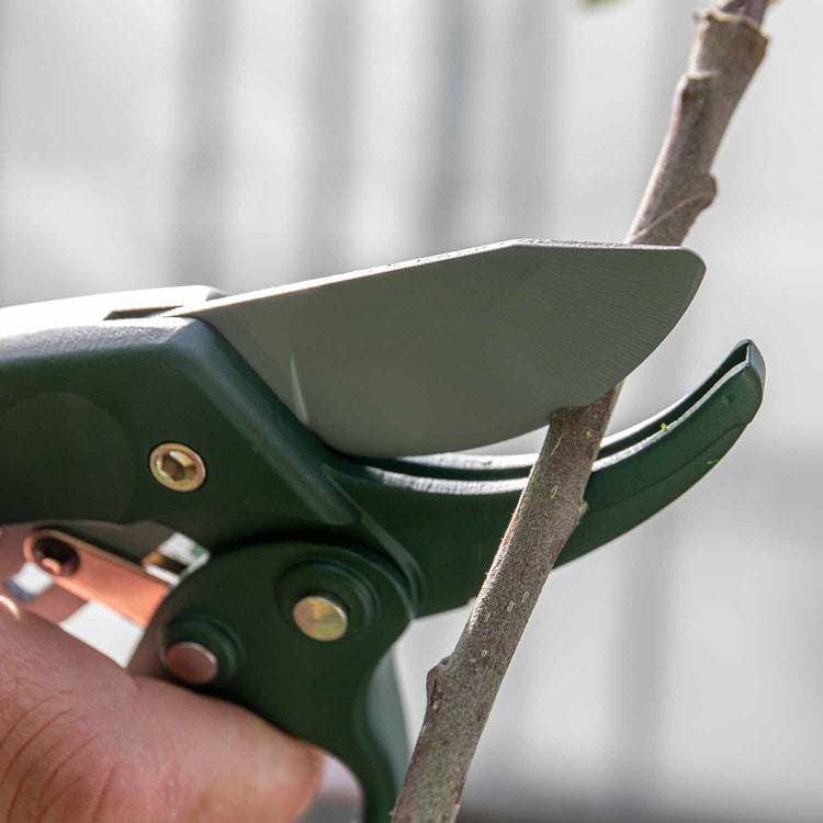 Gardeners Mate Ratchet Secateurs