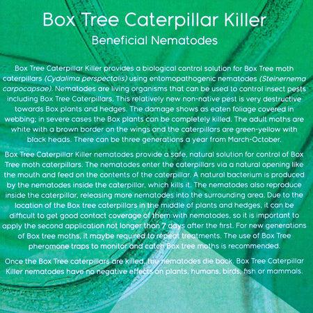 DragonFli Box Tree Caterpillar Killer Nematodes 70sqm