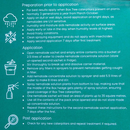 DragonFli Box Tree Caterpillar Killer Nematodes 70sqm