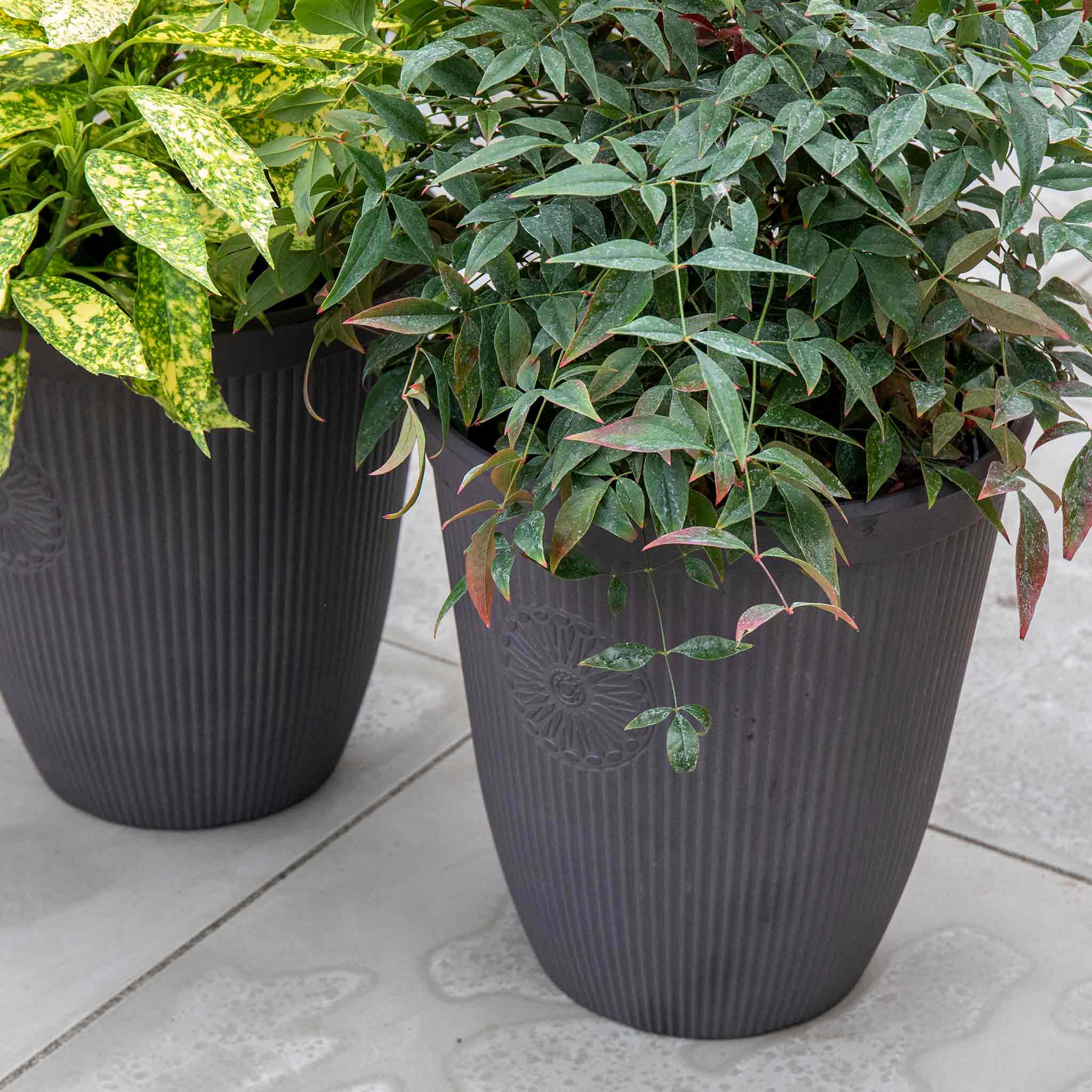 Somerville Tall Planter 33cm in Chocolate Slate - Twin Pack