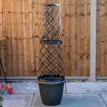 Empire Jumbo Trellis Planter in Brushed Champagne 38cm - Twin Pack