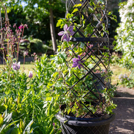 Empire Jumbo Trellis Planter in Brushed Champagne