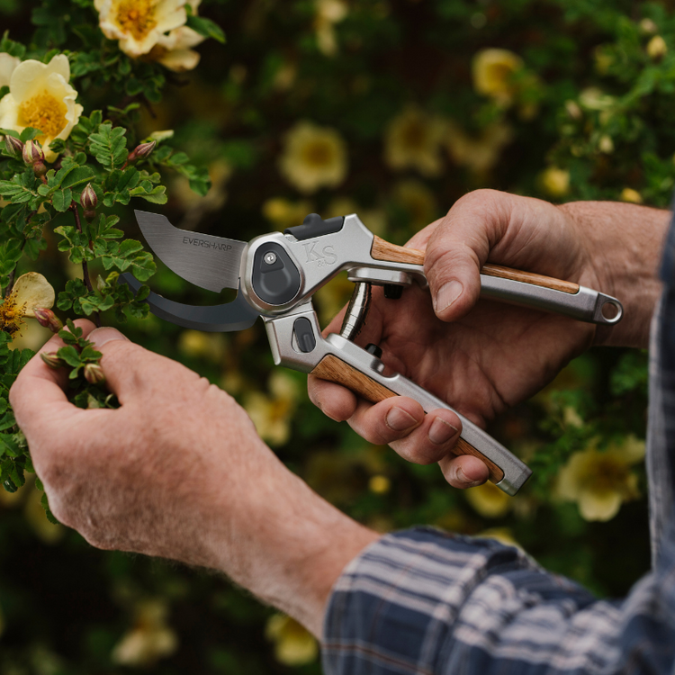 Kent & Stowe Eversharp Bypass Secateurs