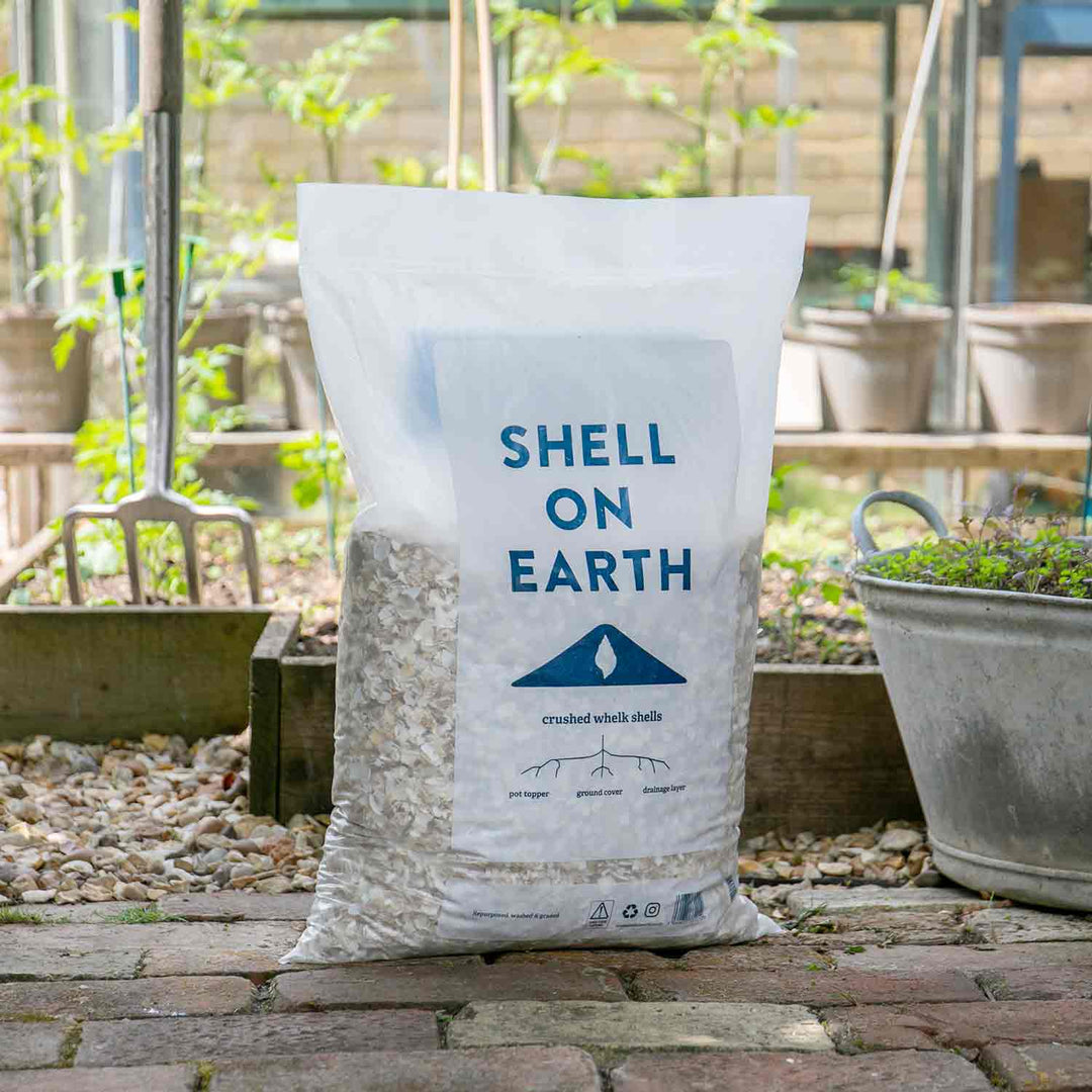 Shell on Earth Crushed Whelk Shells Large 11kg Bag | Buy Crushed Whelk ...
