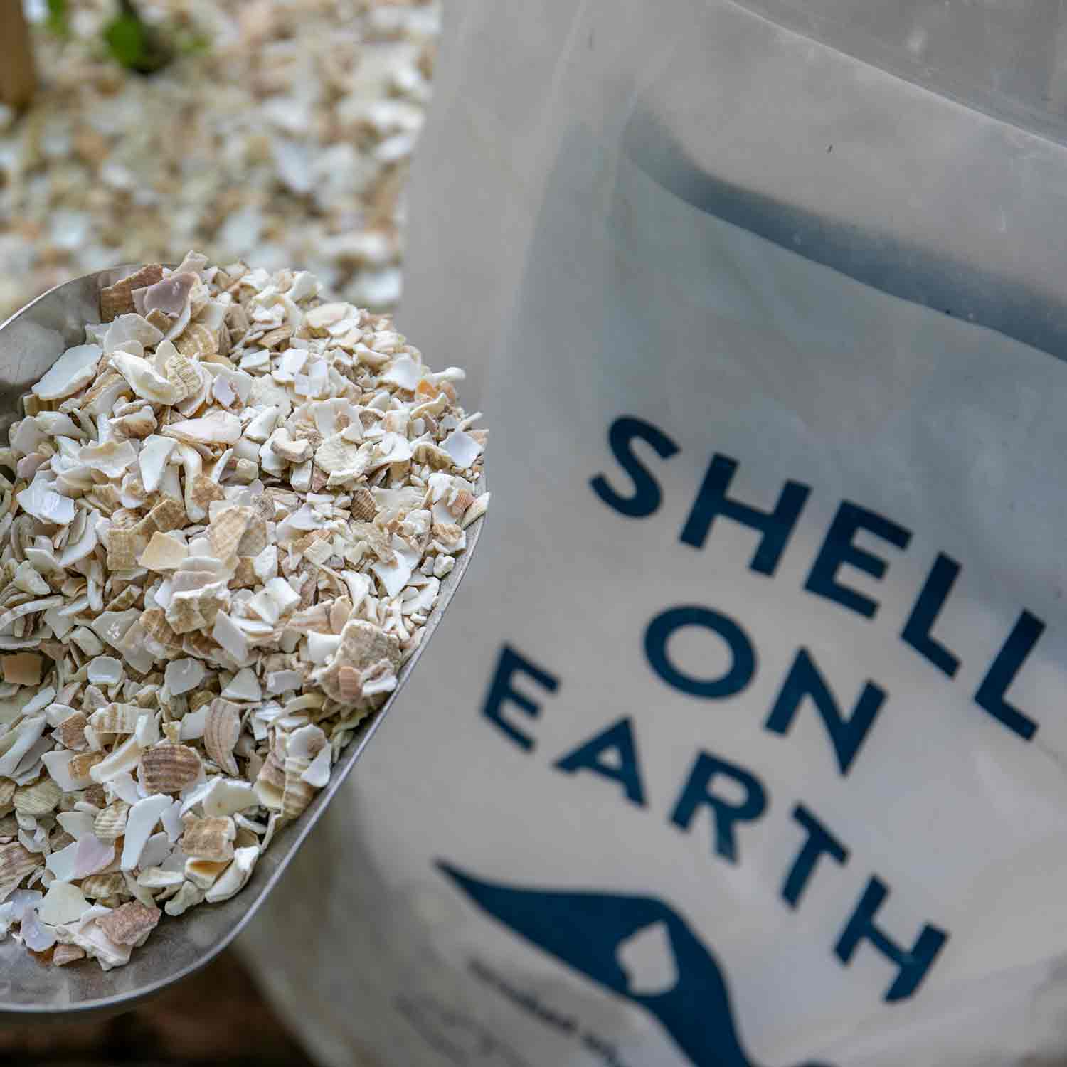 Shell on Earth Crushed Whelk Shells | Marshalls Garden
