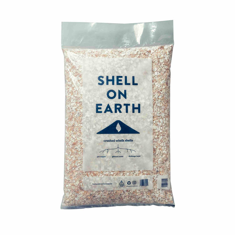 Bitcrushed Shell Shell on Earth Crushed Whelk Shells | Marshalls Garden