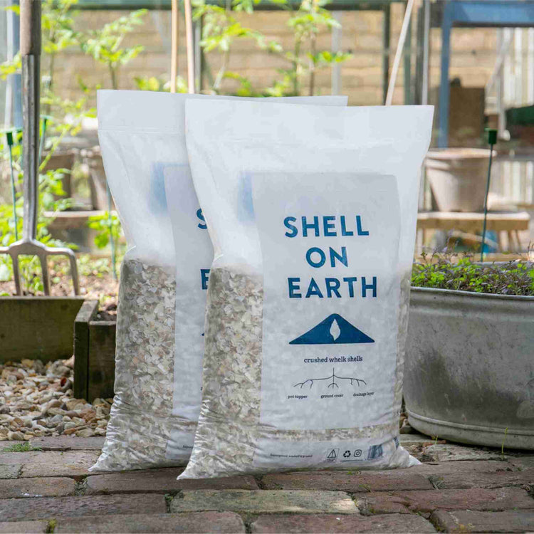 Bitcrushed Shell Shell on Earth Crushed Whelk Shells | Marshalls Garden