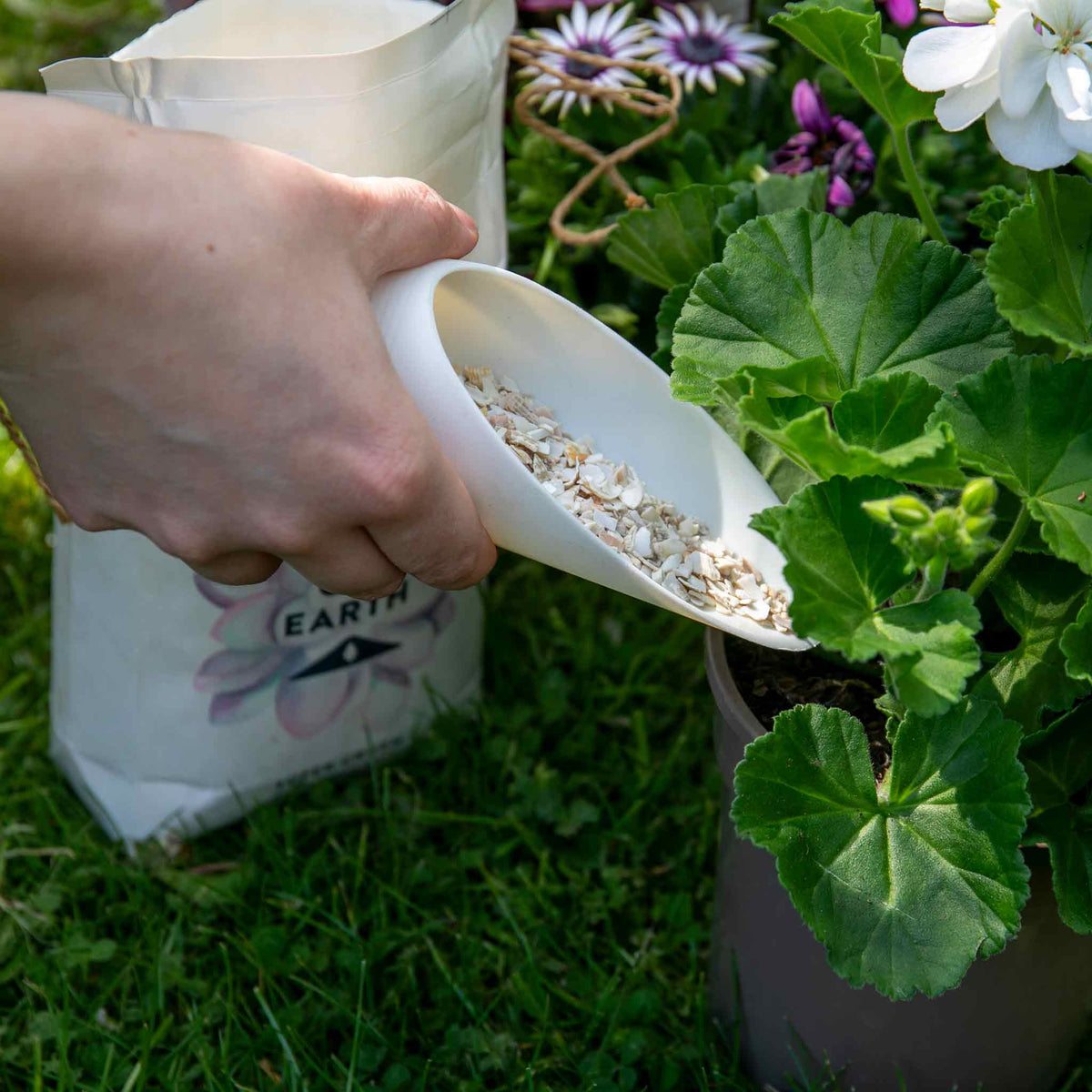 Potting Shell Shell On Earth Potting Scoop | Buy Potting Scoop Online | Potting Scoop ...