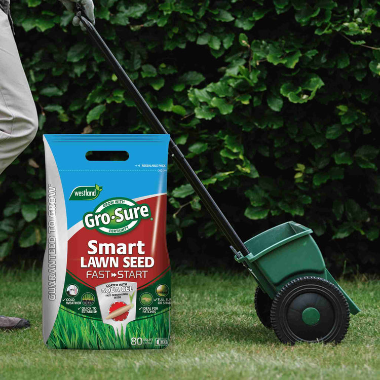 Lawn Spreader & Seed Bundle