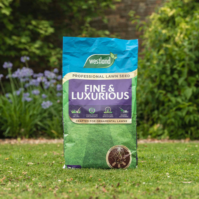 Fine & Luxurious Professional Lawn Seed