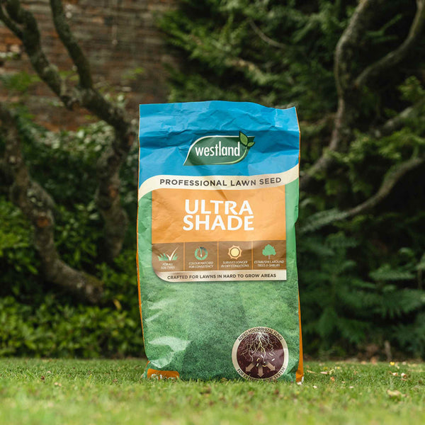 Professional Lawn Seed Ultra Shade