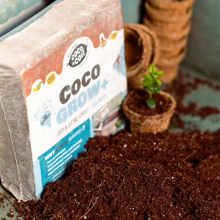 Coco Grow Plus Seed Cutting Compost with Perlite