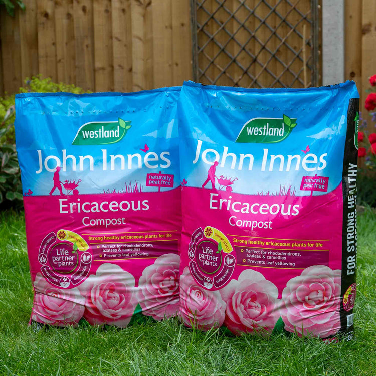 John Innes Peat Free Ericaceous Compost