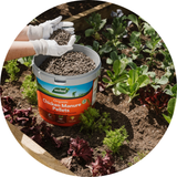 Prepare your Soil