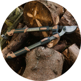 Cutting & Pruning