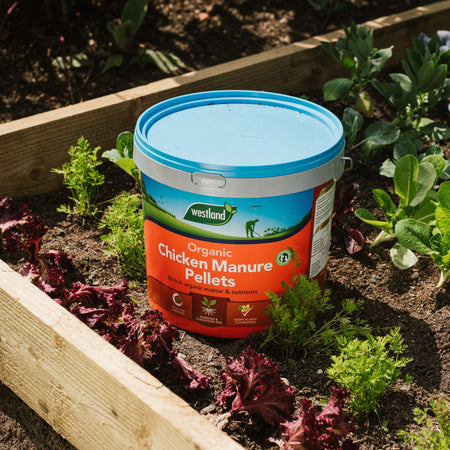 Westland Organic Chicken Manure Pellets