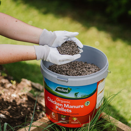 Westland Organic Chicken Manure Pellets