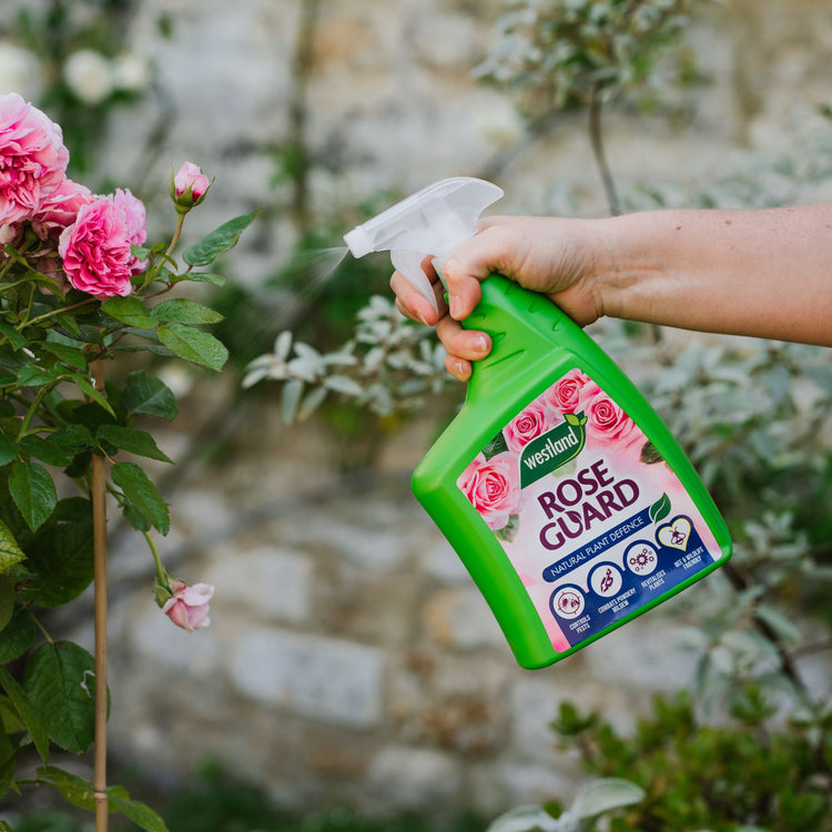 Westland Rose Guard 800ml