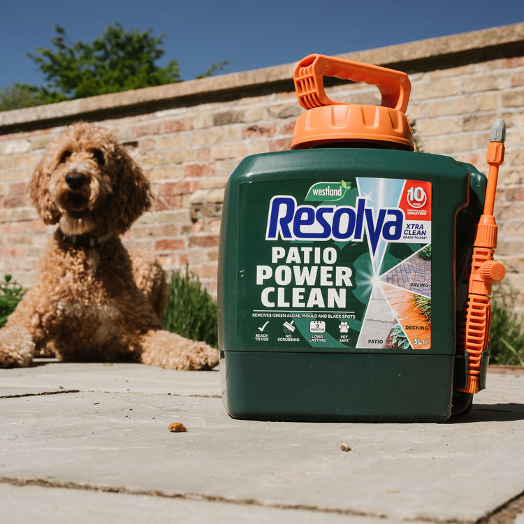 Resolva Xtra Clean and Path & Drive Weedkiller Bundle