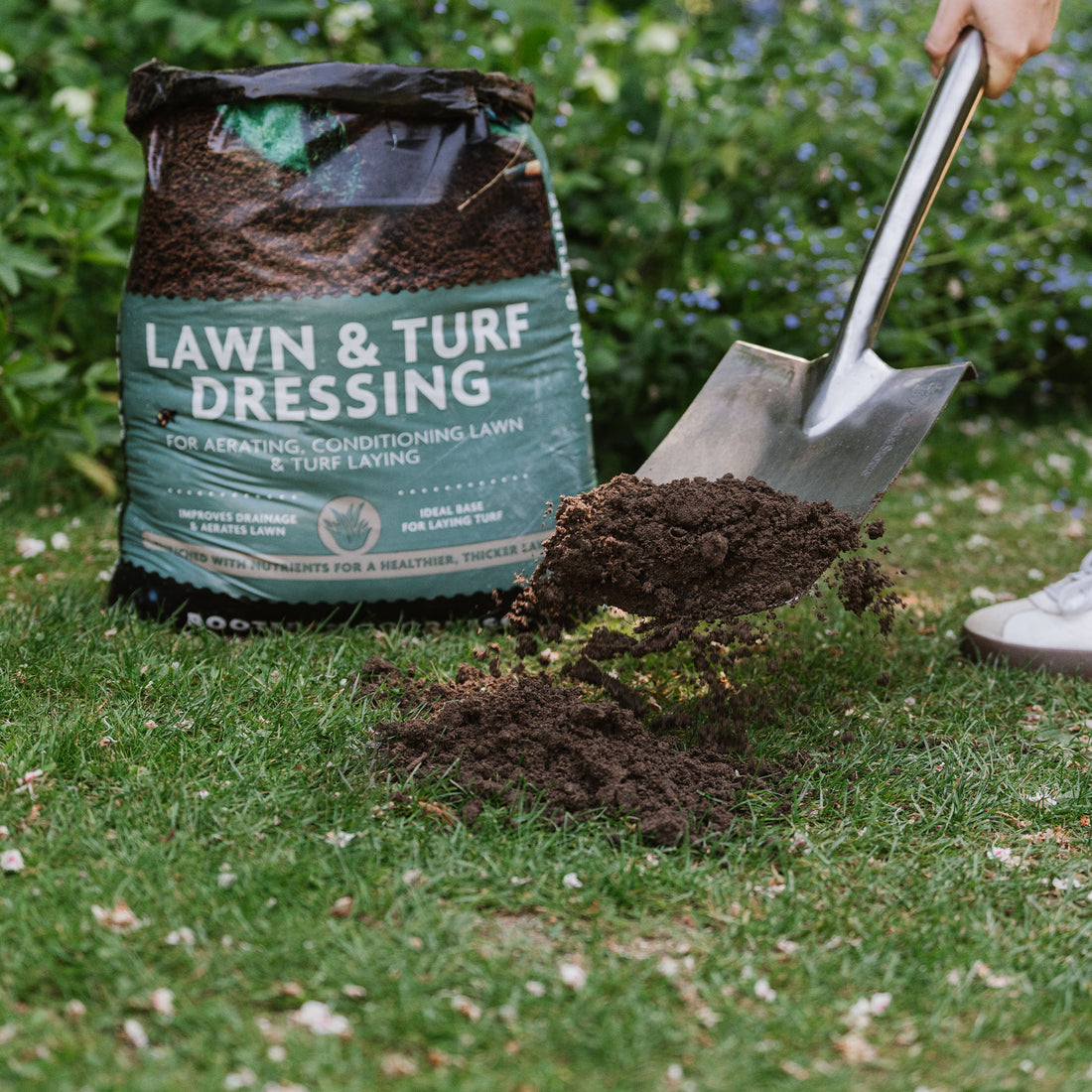 Westland Lawn and Turf Dressing | Marshalls Garden