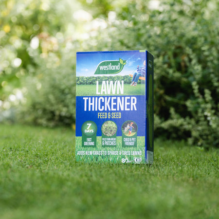Westland Lawn Thickener Feed & Seed