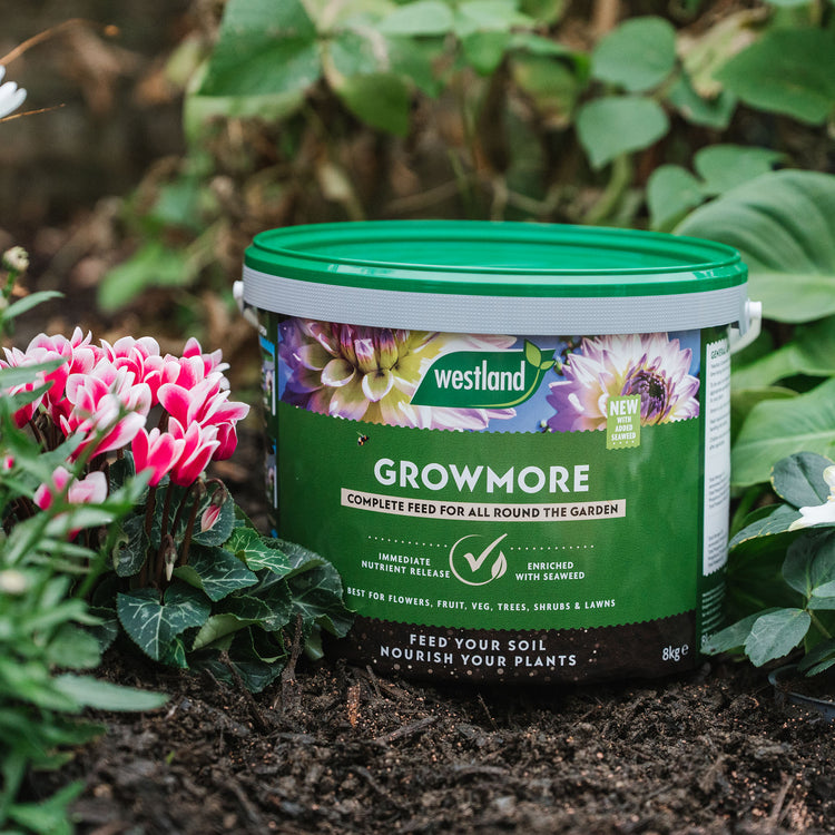 Westland Growmore Fertiliser