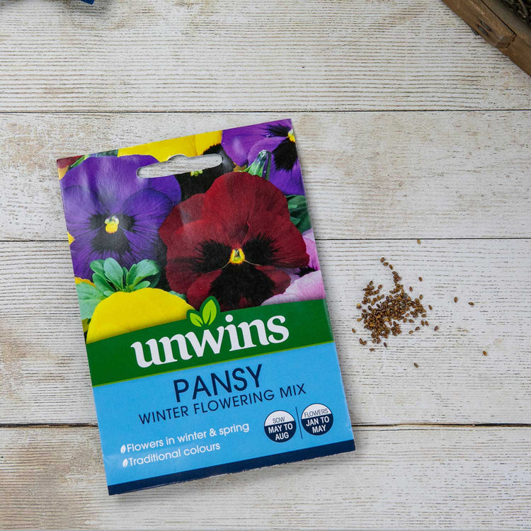 Pansy Seeds 'Winter Flowering Mix '