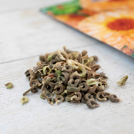 Calendula Seeds 'Pink Surprise'