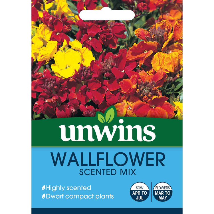 Unwins Autumn Flower Seed Collection – 5 Varieties