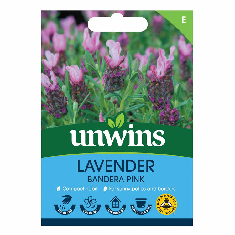 Lavender Seeds 'Bandera Deep Pink'