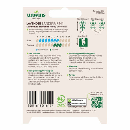 Lavender Seeds 'Bandera Deep Pink'