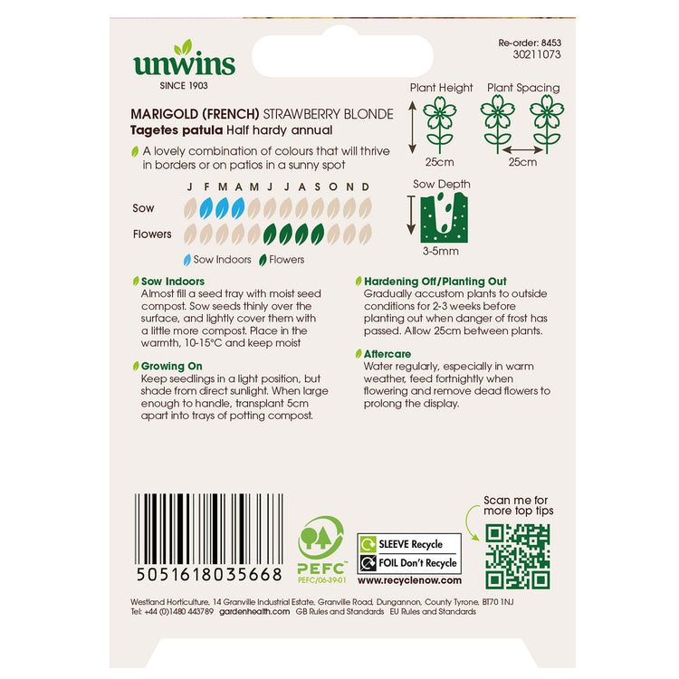 French Marigold Seeds 'Strawberry Blonde'