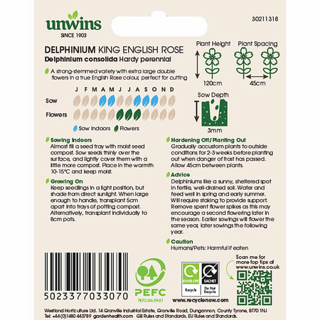 Delphinium Seeds 'King Scarlet English Rose'