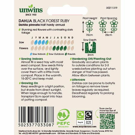 Dahlia Pinnata Seeds 'Black Forest Ruby'