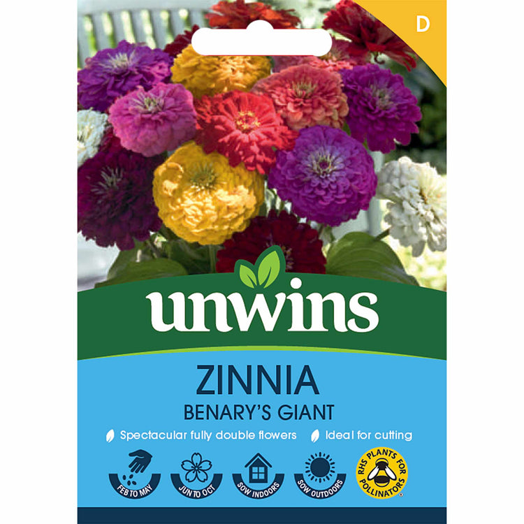 Zinnia Seeds 'Benary's Giant'