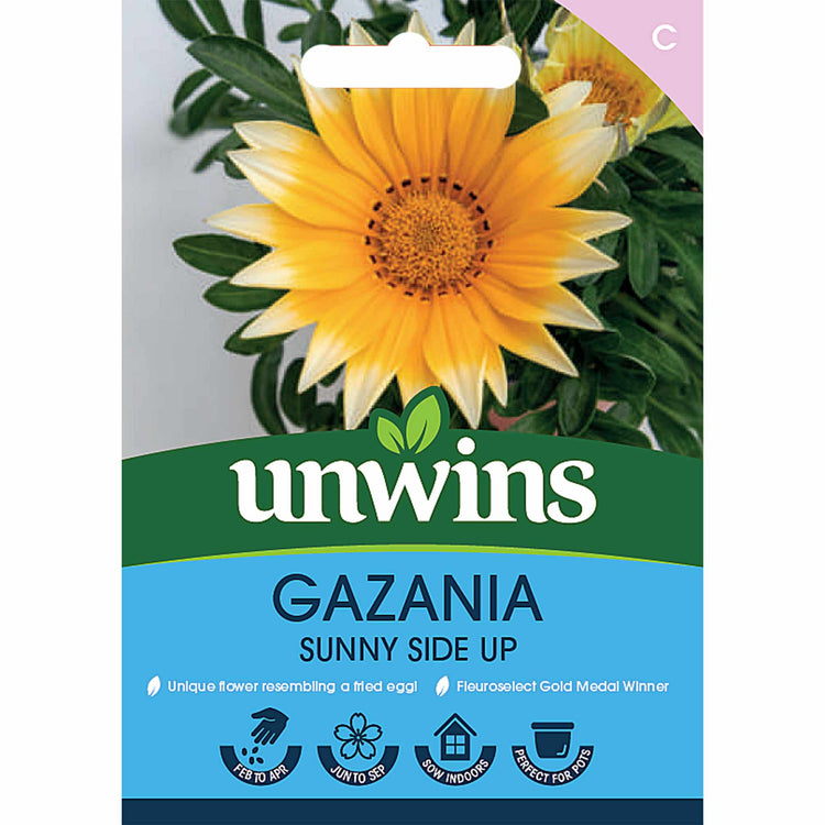 Gazania Seeds 'Sunny Side Up'