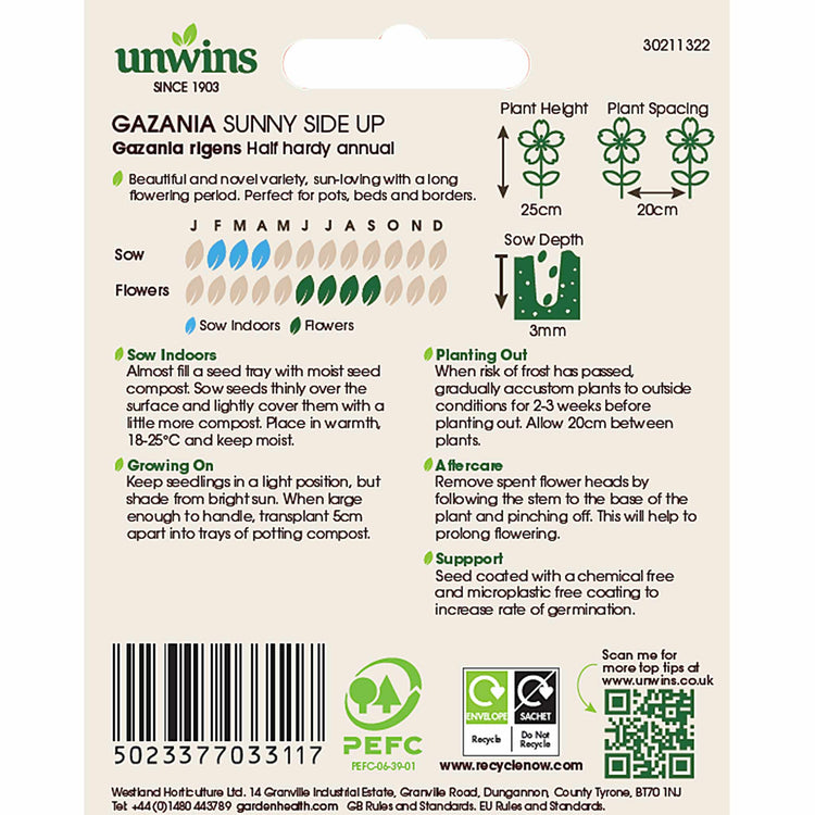 Gazania Seeds 'Sunny Side Up'