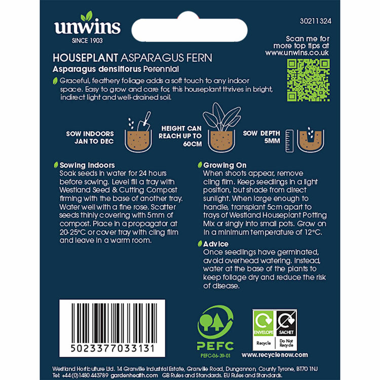 Asparagus Fern Seeds