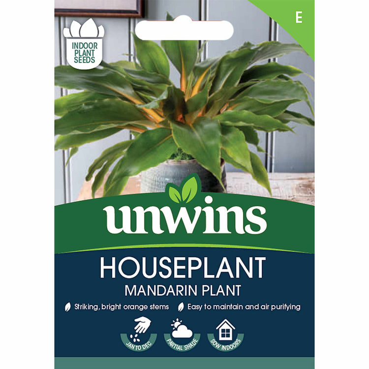 Chlorophytum Orchidastrum Seeds