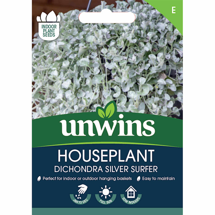 Dichondra Seeds 'Silver Surfer'