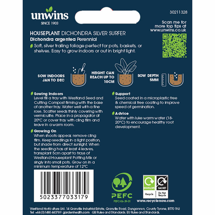 Dichondra Seeds 'Silver Surfer'