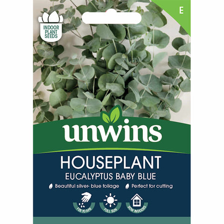 Eucalyptus Seeds 'Baby Blue'