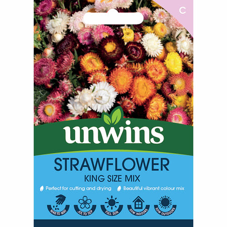 Strawflower Seeds 'King Size'