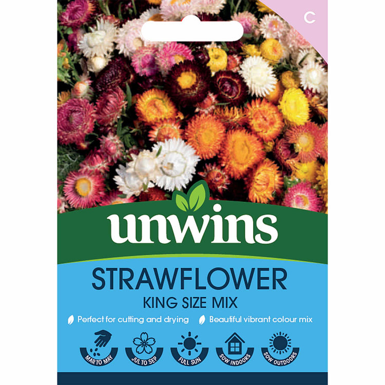 Strawflower Seeds 'King Size'