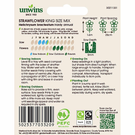 Strawflower Seeds 'King Size'