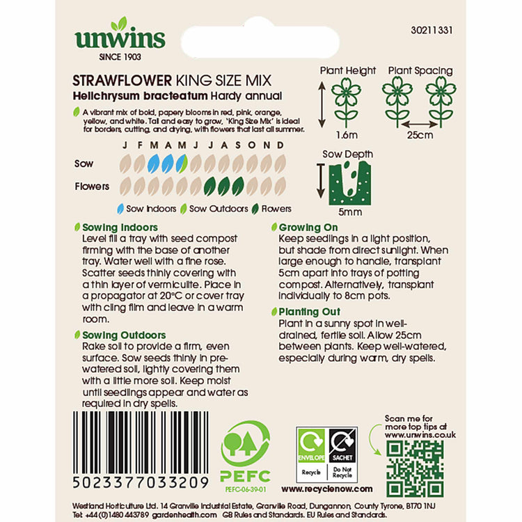 Strawflower Seeds 'King Size'